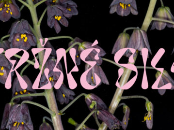 VERONIKA LUKÁŠOVÁ – MARKET FORCES