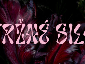 VERONIKA LUKÁŠOVÁ – TRŽNÉ SILY